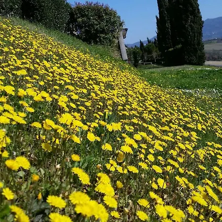 Casale Di Valle 农家乐