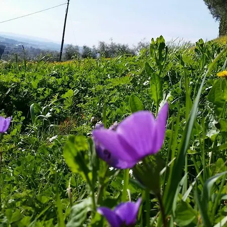 Casale Di Valle