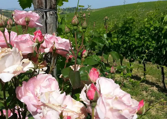 Casale Di Valle 팜스테이 빈치