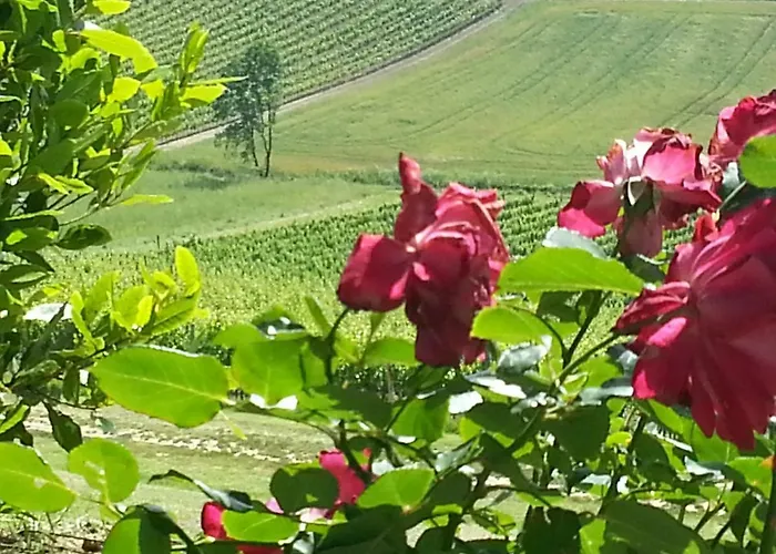 Casale Di Valle 팜스테이 *