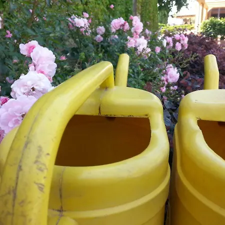 Casale Di Valle * Vinci