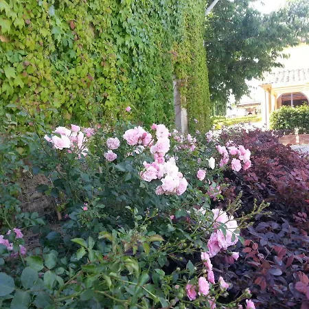 Casale Di Valle בית חווה וינצ'י