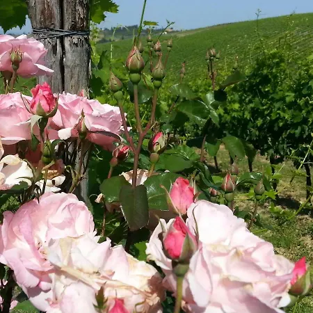 Casale Di Valle Lantgård Vinci