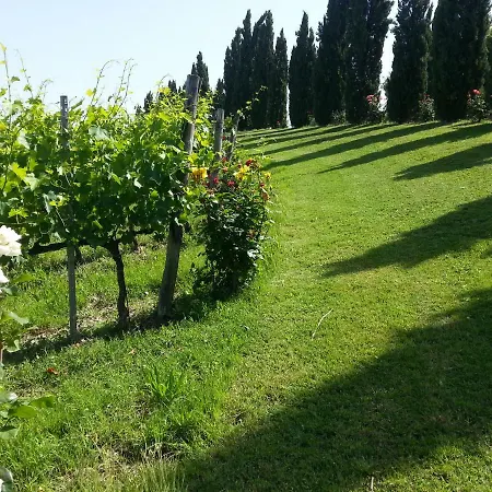 Casale Di Valle בית חווה וינצ'י