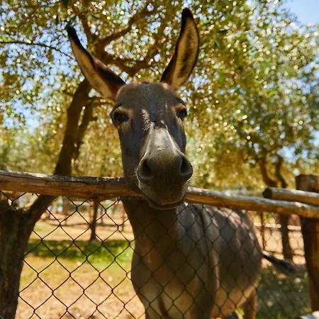 Casale Di Valle Lantgård Vinci