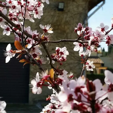 Vakantieboerderij Casale Di Valle Vinci